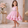Blush Pink Princess Party Dress party wear dress for girls - Luxaura Kidswear