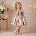 Champagne Gold Princess Party Dress party wear dress for girls - Luxaura Kidswear