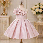 Royal Blush Bloom Party Dress party wear dress for girls - Luxaura Kidswear